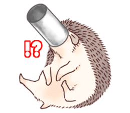 "TAWASHI" the tiny hedgehog sticker #1047001