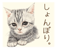 A capricious cat sticker #1053364