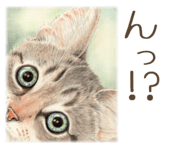 A capricious cat sticker #1053371