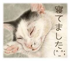 A capricious cat sticker #1053376