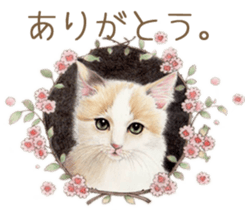 A capricious cat sticker #1053385
