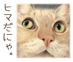 A capricious cat sticker #1053386