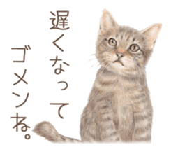 A capricious cat sticker #1053390