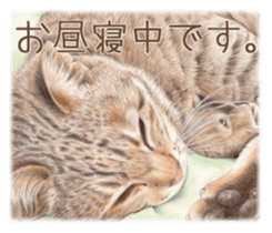 A capricious cat sticker #1053392