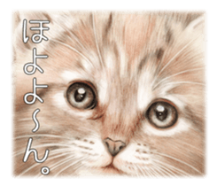 A capricious cat sticker #1053394