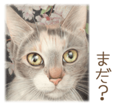 A capricious cat sticker #1053395