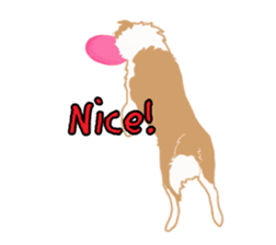 Dog Border Collie sticker #1054379