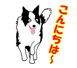 Dog Border Collie sticker #1054380