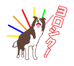 Dog Border Collie sticker #1054387