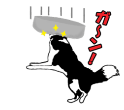 Dog Border Collie sticker #1054390