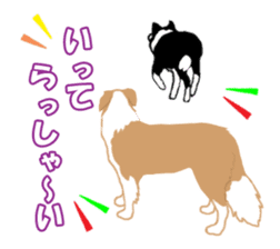 Dog Border Collie sticker #1054395