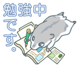 Lovely hamster SHISHAMO 2 Japanese ver. sticker #1054637
