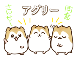 KATAKANA words of hamster. sticker #1054897