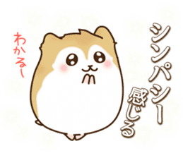 KATAKANA words of hamster. sticker #1054910