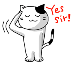Daily of white cat sticker #1055645