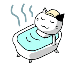 Daily of white cat sticker #1055650