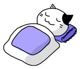 Daily of white cat sticker #1055651