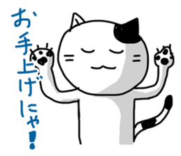 Daily of white cat sticker #1055655