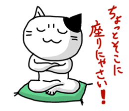 Daily of white cat sticker #1055658