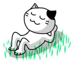 Daily of white cat sticker #1055663