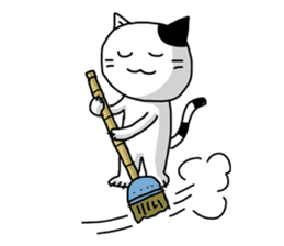 Daily of white cat sticker #1055673