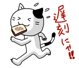 Daily of white cat sticker #1055675