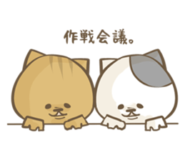 Cat Day2 sticker #1056132