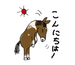 pinto horse Yura sticker #1057323