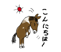 pinto horse Yura sticker #1057323