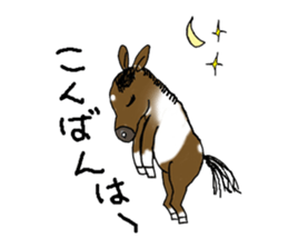 pinto horse Yura sticker #1057324