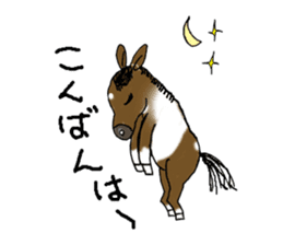 pinto horse Yura sticker #1057324