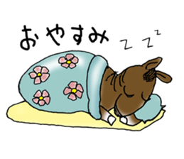 pinto horse Yura sticker #1057326