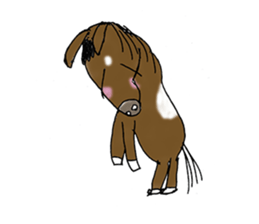 pinto horse Yura sticker #1057343