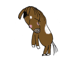 pinto horse Yura sticker #1057343