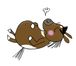 pinto horse Yura sticker #1057345