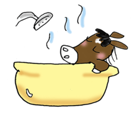 pinto horse Yura sticker #1057348