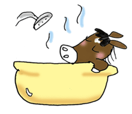 pinto horse Yura sticker #1057348