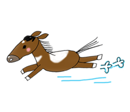 pinto horse Yura sticker #1057353