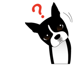 Boston Terrier sticker #1059123