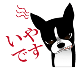 Boston Terrier sticker #1059126