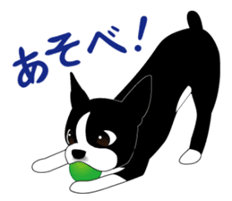 Boston Terrier sticker #1059127