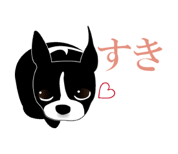 Boston Terrier sticker #1059130