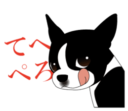 Boston Terrier sticker #1059131