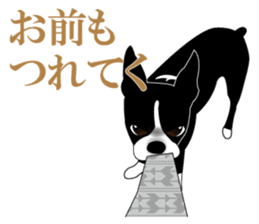 Boston Terrier sticker #1059133