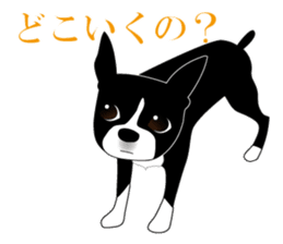 Boston Terrier sticker #1059134