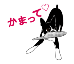 Boston Terrier sticker #1059135