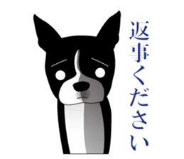 Boston Terrier sticker #1059137