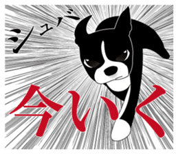 Boston Terrier sticker #1059139
