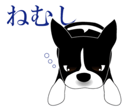 Boston Terrier sticker #1059144