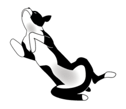 Boston Terrier sticker #1059146